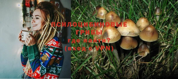 бошки Козловка