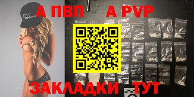 бошки Кингисепп