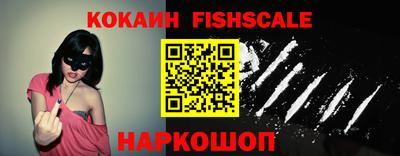 бошки Кингисепп
