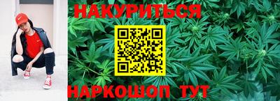 прущие крисы Кимры