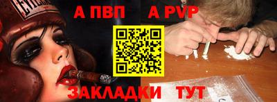 бошки Кингисепп