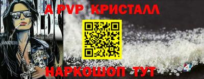 бошки Кингисепп