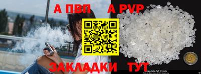 бошки Кингисепп
