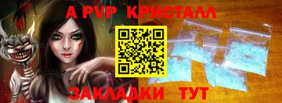 бошки Кингисепп