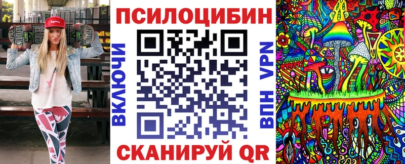 Псилоцибиновые грибы Psilocybine cubensis  Клинцы 