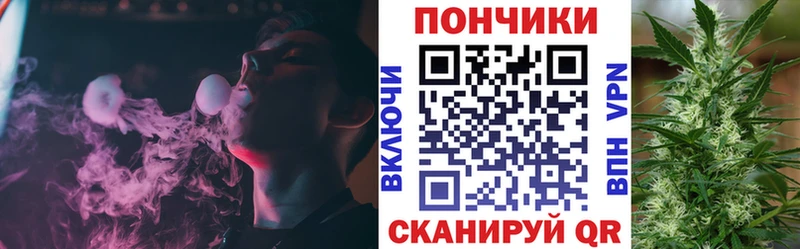 закладки  Клинцы  Шишки марихуана сатива 